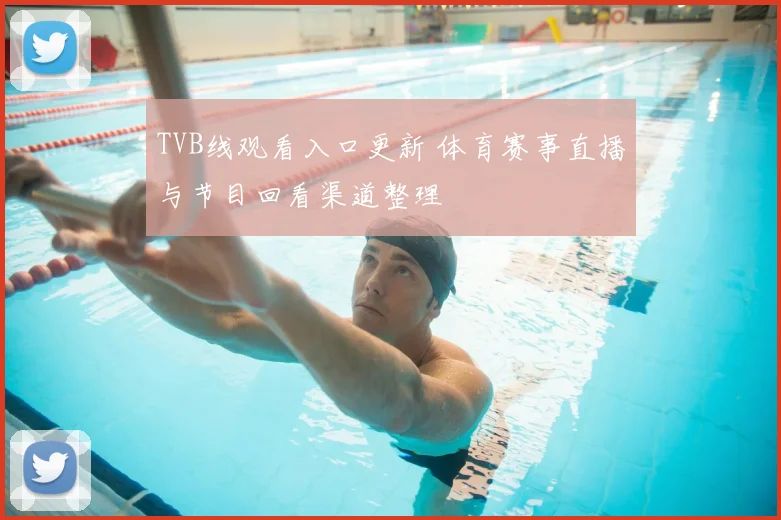 TVB线观看入口更新 体育赛事直播与节目回看渠道整理