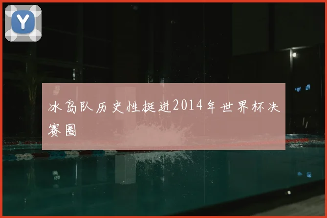 冰岛队历史性挺进2014年世界杯决赛圈