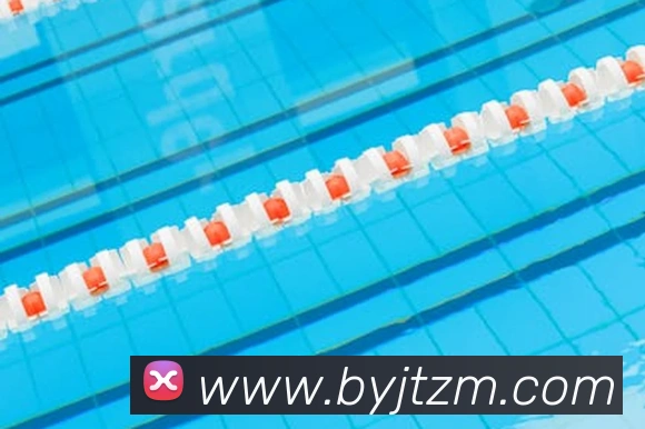 世界杯平台官网登录发展历程